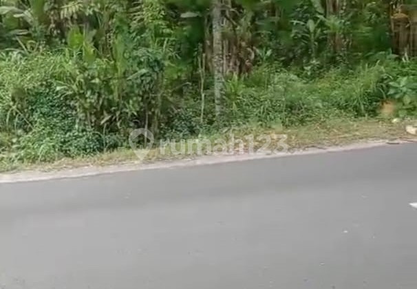 Pekarangan Mangku Jalan Matesih 