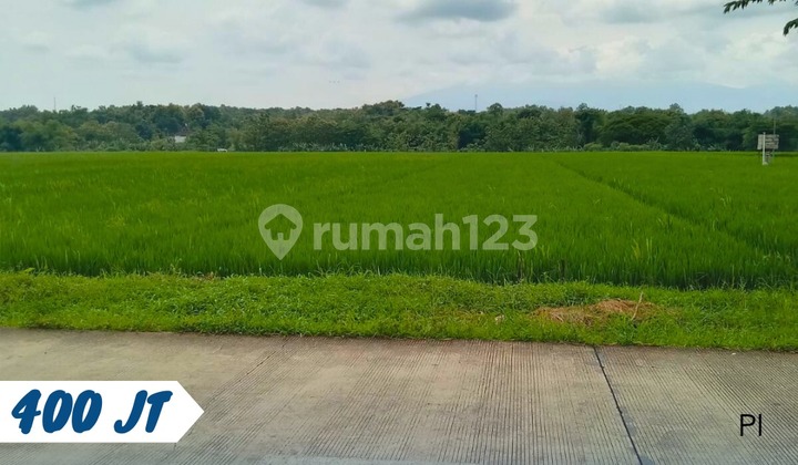 Sawah Murah Banjarharjo 400 Juta