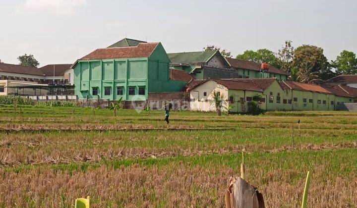 Sawah Produktif Dekat Jalan Raya Matesih  2