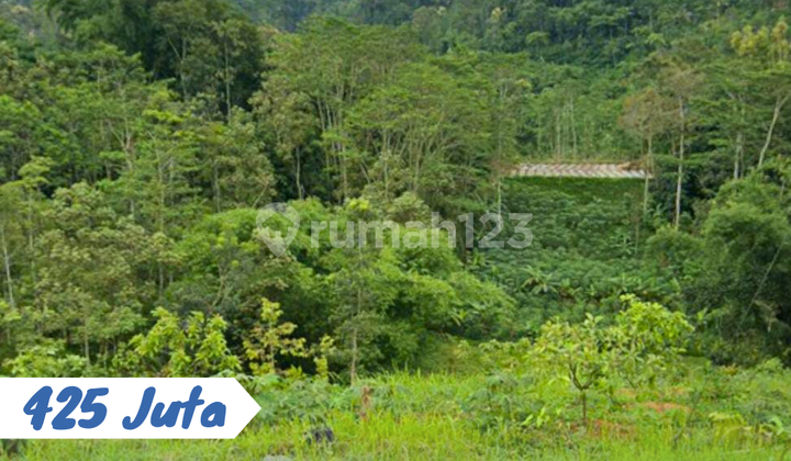 Tanah Pemandangan Bagus Karangpandan Tanah Pemandangan Bagus Karangpandan
