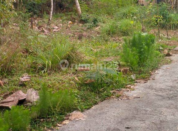 Tanah Pekarangan Dekat Ponpes Karangpandan  2