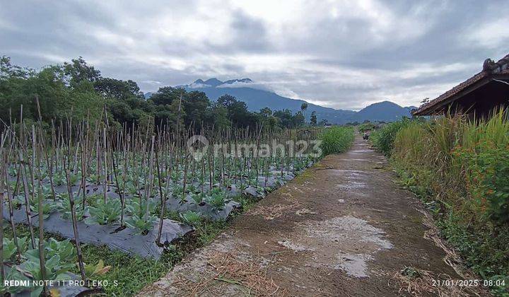 Sawah Dekat Sungai Karangpandan 450Jt  2