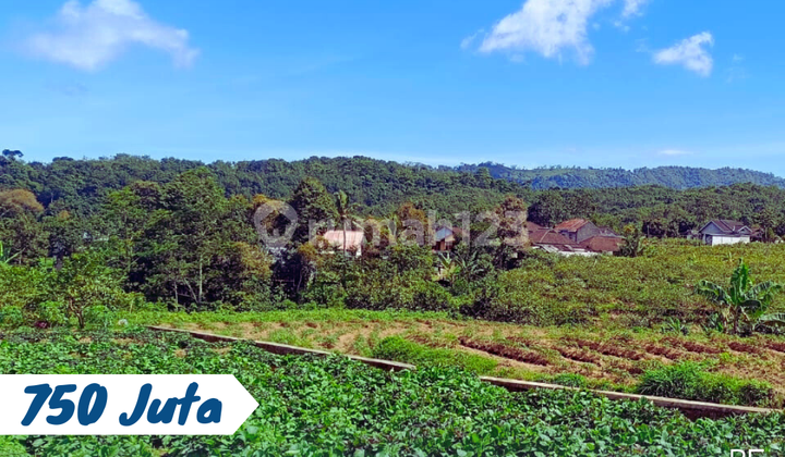 Dijual Tanah Bagus Jalur Wisata Kemuning Dijual Tanah Bagus Jalur Wisata Kemuning