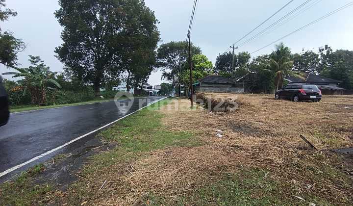 For Rent: Roadside Land in Karangpandan