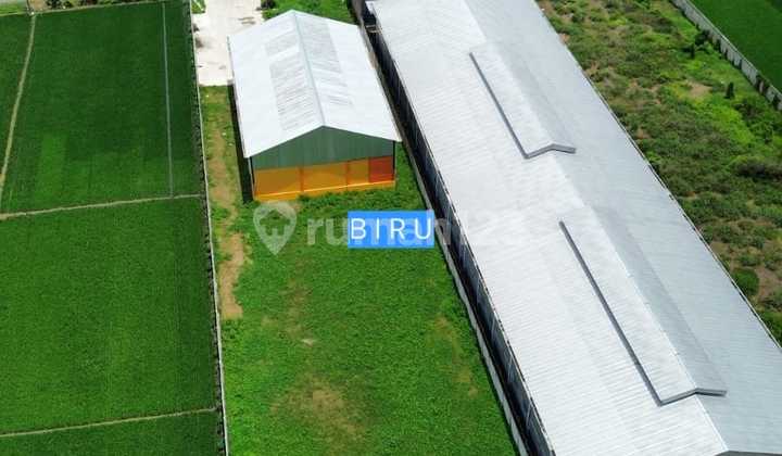 WAREHOUSE TASIKMADU INDUSTRIAL ZONE