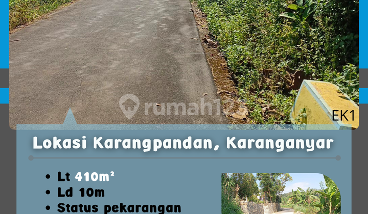 Scenic Rice Field View Karangpandan