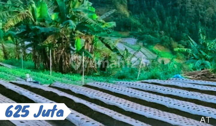 Tanah Pekarangan Tawangmangu View Istimewa