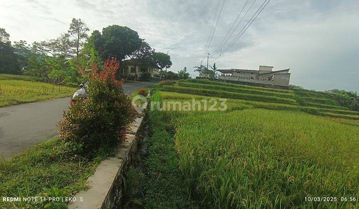 Tanah Sawah Murah Matesih Karanganyar  1