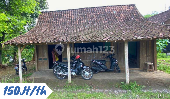 For Rent: 3-Front Road Land in Tanon, Sragen