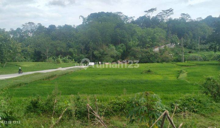 Sawah Dekat Jalan Raya Karangpandan 250 Jt 1