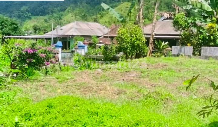 Tanah Datar Dekat Wisata Kemuning