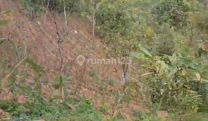 Lahan Pertanian Murah Dekat Jembatan Kaca  1