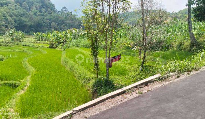 Tanah Sawah Ngargoyoso Karanganyar 300 Juta  2