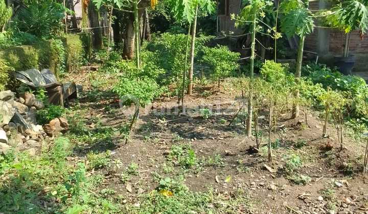 Pekarangan Murah Tengah Kampung Kebakkramat  2