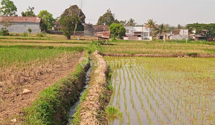 Sawah Produktif Dekat Jalan Raya Matesih  1