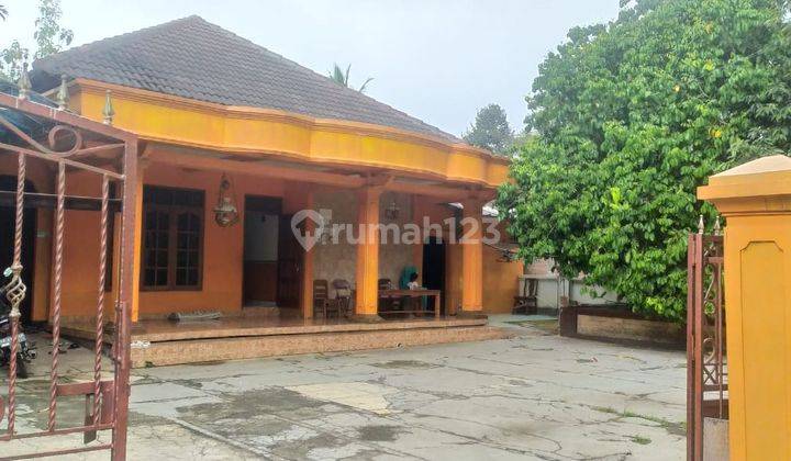 Kebun Durian Dan Rumah Furnished Jumantono  2