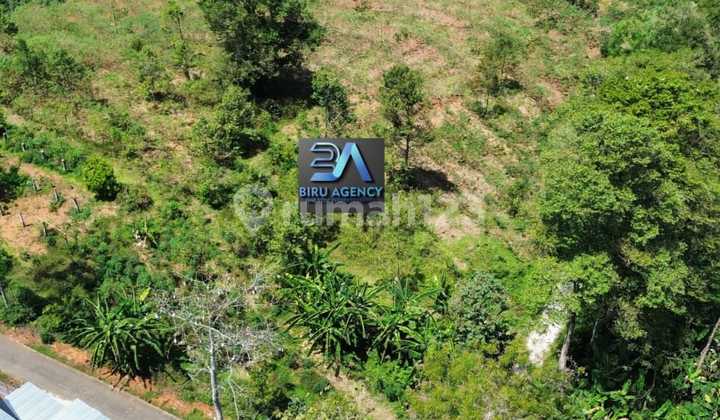 LAND JUMANTONO 165K/METER LAND JUMANTONO 165K/METER