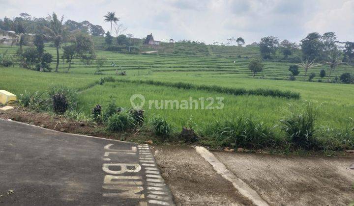 Tanah Akses Lebar Karangpandan 450 Juta  1