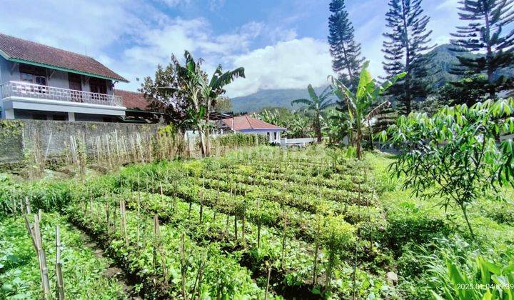 Pekarangan Kawasan Villa Tawangmangu 390Jt 2