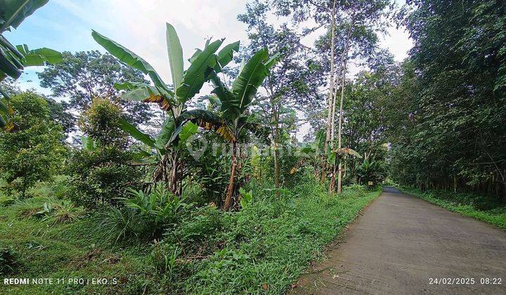 Tanah Murah Kawasan Wisata Kemuning 1