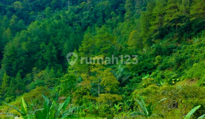 Tanah Wisata Bumi Perkemahan Tawangmangu