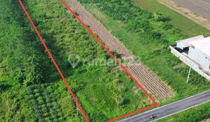 Pekarangan Dekat Exit Tol Karanganom 