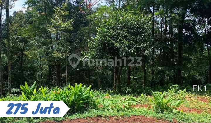 Dijual Tanah Ngargoyoso 275 Juta