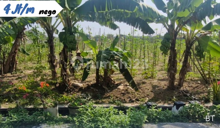 Tanah Pekarangan Pilangan Klodran Karanganyar