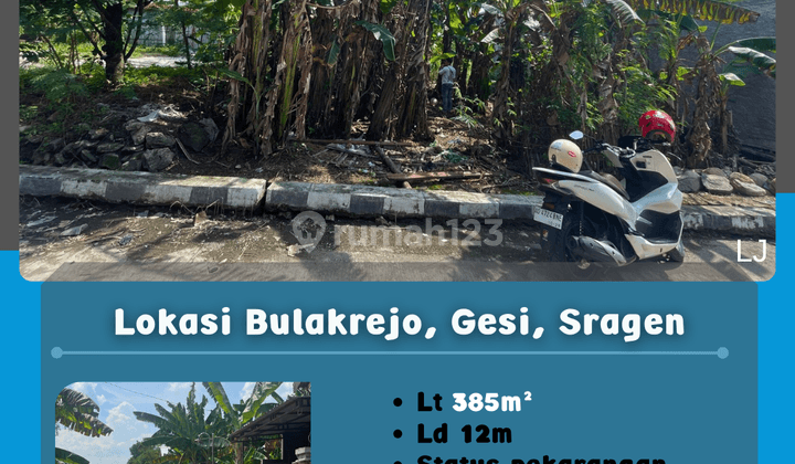 Pekarangan Dua Muka Jalan Gesi Sragen 295 Jt 1