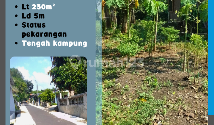 Pekarangan Murah Tengah Kampung Kebakkramat  1
