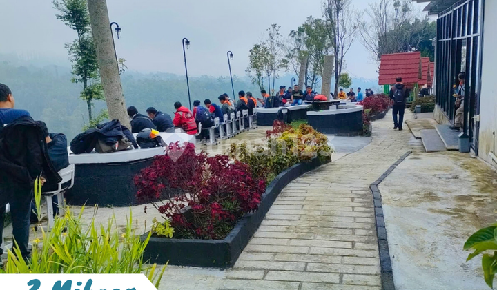Cafe Dieng Bawang Batang Route