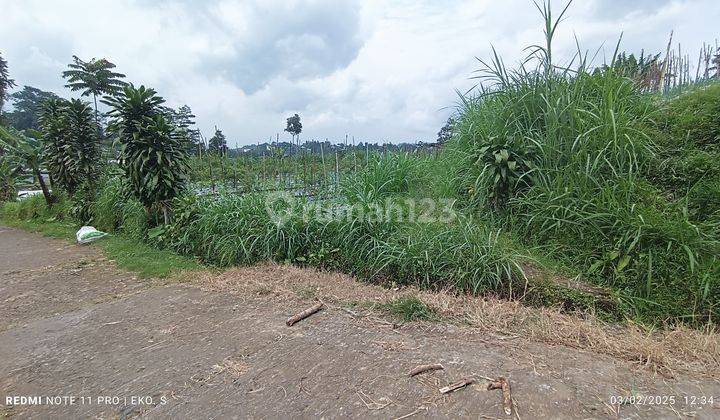 Tanah status sawah kawasan wisata Kemuning 2