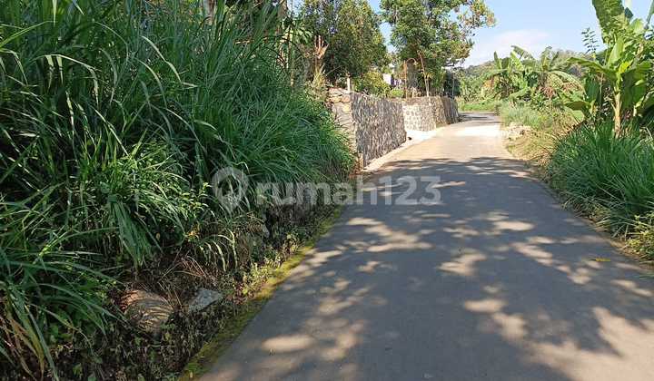 Scenic Rice Field View Karangpandan