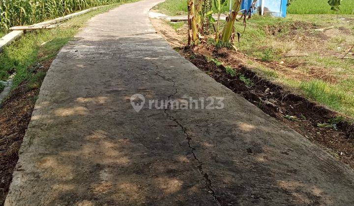 Sawah Basah Mojogedang Karanganyar 420 Juta  2