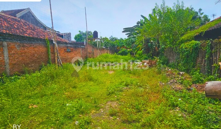 For Sale Backyard Sfa Steak Solo Baru