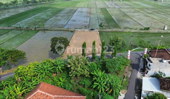 TANAH KEBAKKAMAT 135m MURAH 1