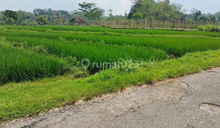 Tanah Sawah Pinggir Jalan Karangpandan 275 Juta 1