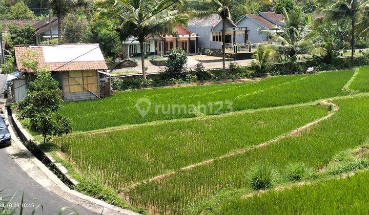 Tanah Sawah Ngargoyoso Karanganyar 300 Juta  1