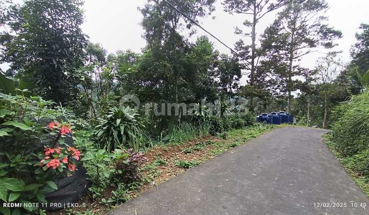 Cheap Yard with Good View Karangpandan Cheap Yard with Good View Karangpandan