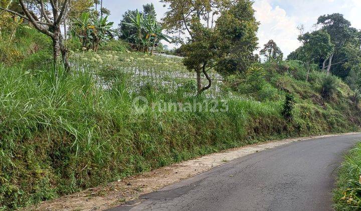 Tanah Pekarangan Kawasan Wisata Ngargoyoso  2