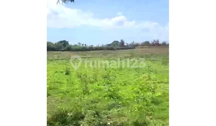 Land for Sale – Gianyar Beach Area