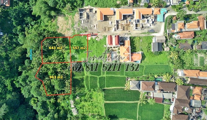 Tanah Freehold Hadap Sungai Area Wisata Tirta Tawar Ubud Bali - Lsadt