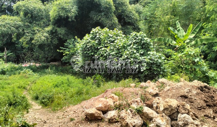 Tanah Freehold Cocok Rumah Tinggal atau Kos di Sawangan Nusa Dua - Lawy Tanah Freehold Cocok Rumah Tinggal atau Kos di Sawangan Nusa Dua - Lawy