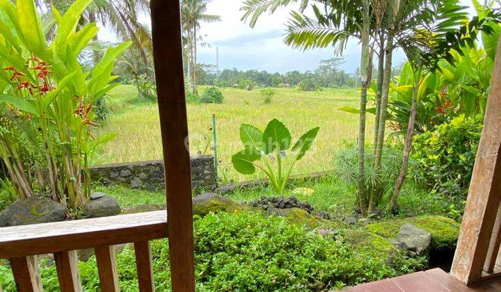  Villa Nyaman Dengan Suasana Pedesaan Vsar 12