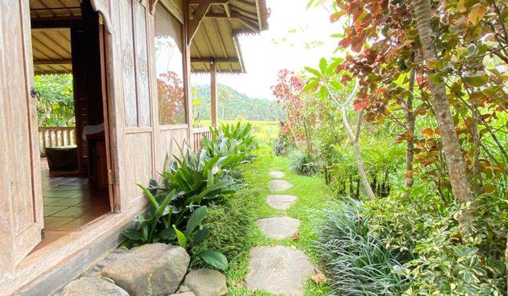  Villa Nyaman Dengan Suasana Pedesaan Vsar 13
