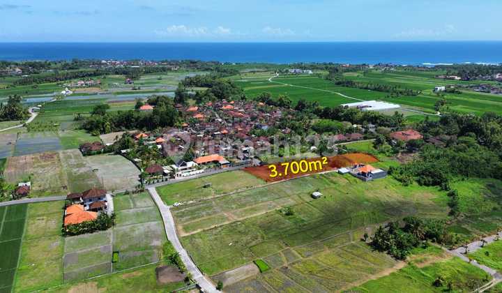  Dijual Tanah Dekat Pantai Kedungu Tabanan Lsck 2