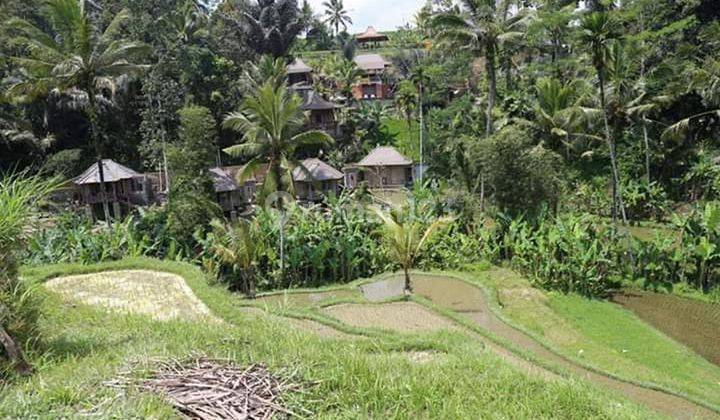  Land Sebatu Ubud Near Gunung Kawi Lswi Tourist Object 2