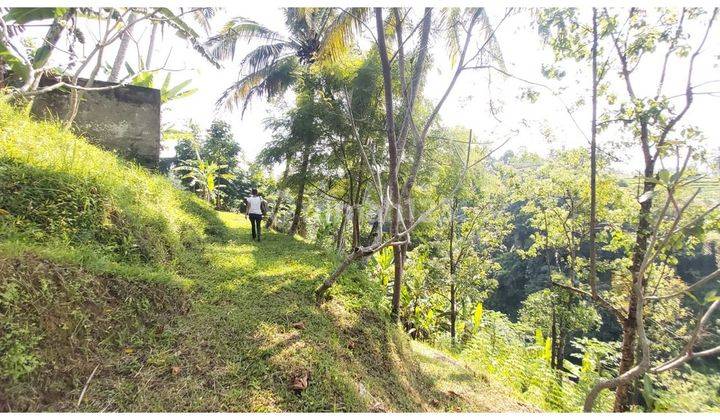  Tanah View of the Tegallalang Valley and River, Ubud, Lswi 2