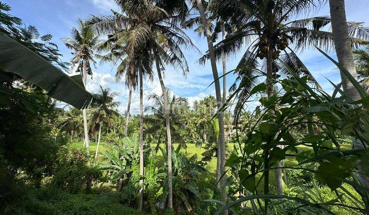 Land in Lod Tunduh, Ubud Lswi 1