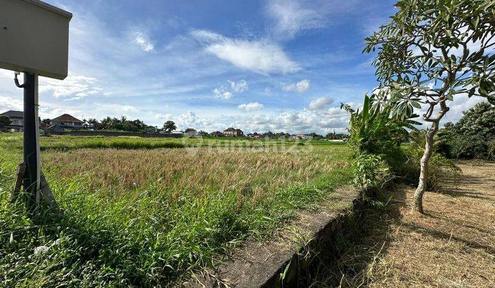 Land in Lod Tunduh, Ubud Lswi 2